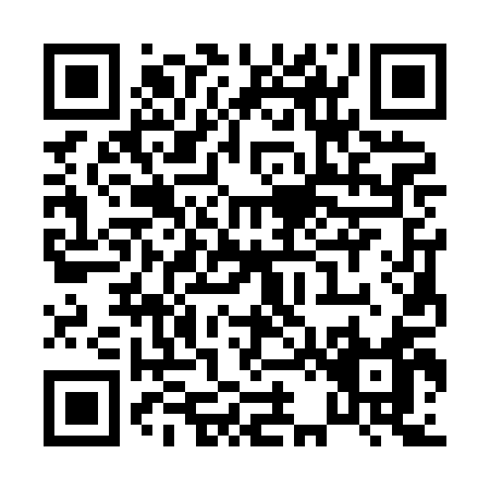 QR code for P238A