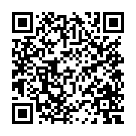 QR code for P238X