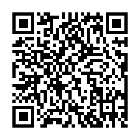 QR code for P238Y
