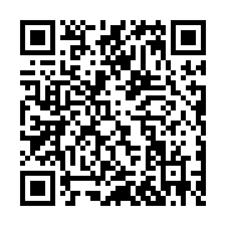 QR code for P241F
