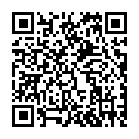 QR code for P241V