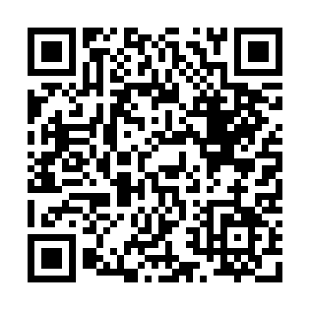 QR code for P242C