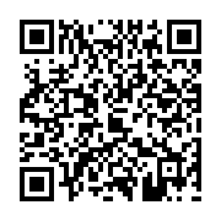 QR code for P242SX