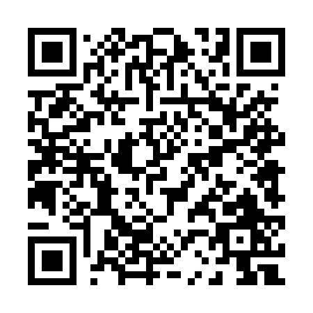 QR code for P244R