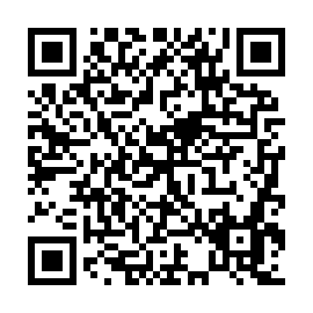 QR code for P249W