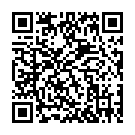 QR code for P250F