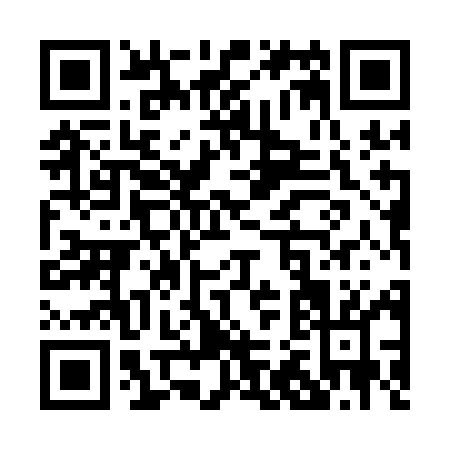 QR code for P251M