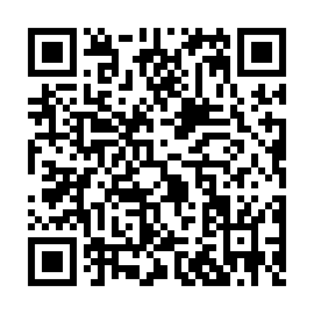 QR code for P251O
