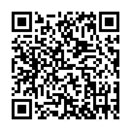 QR code for P251S