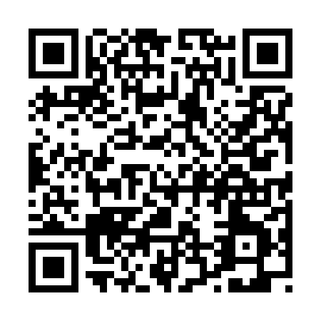 QR code for P252H