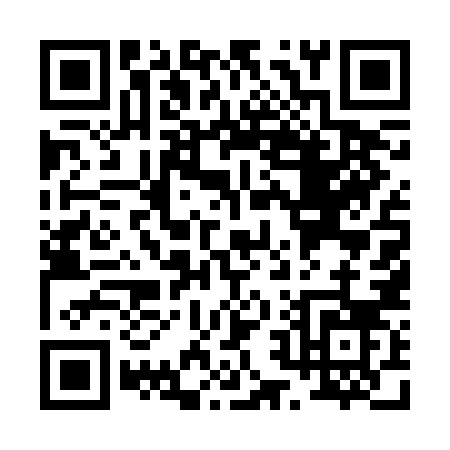 QR code for P252N