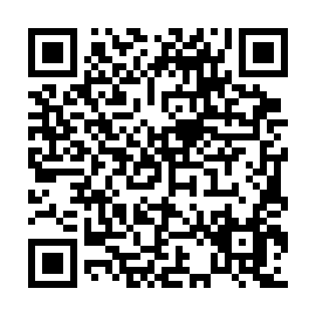 QR code for P253D