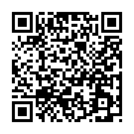 QR code for P260G