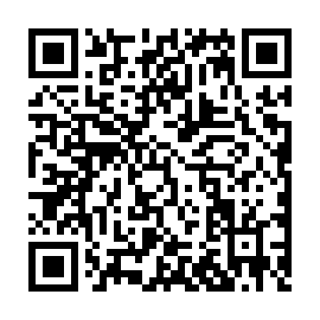 QR code for P261T