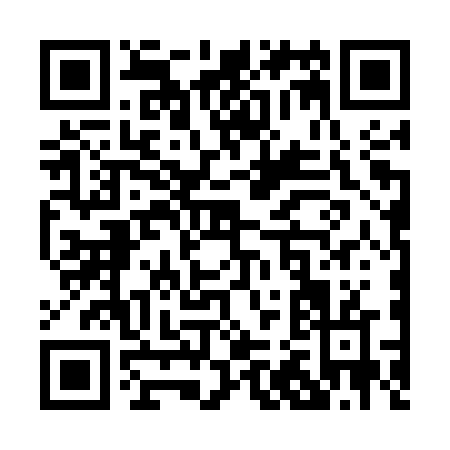 QR code for P265V