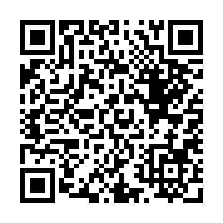 QR code for P272H
