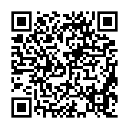 QR code for P272O
