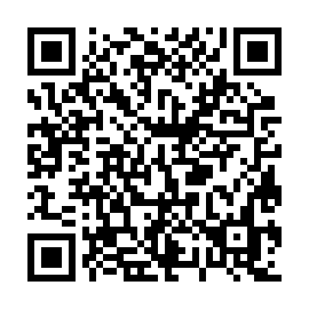 QR code for P272XN
