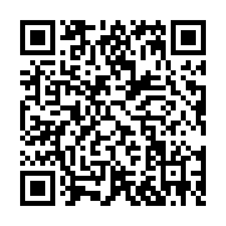 QR code for P290P