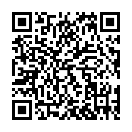 QR code for P290S