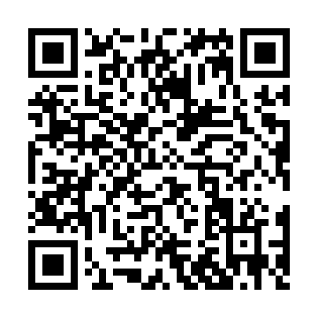 QR code for P291R