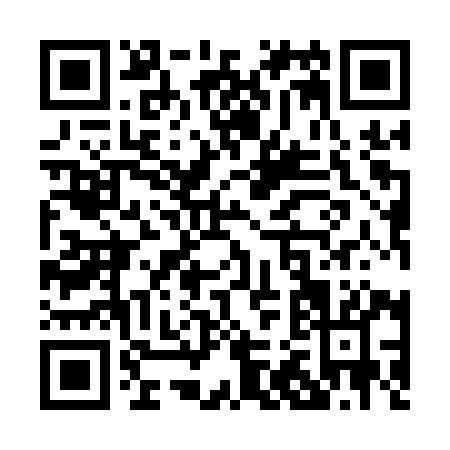 QR code for P291Y