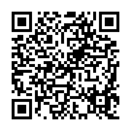 QR code for P292I