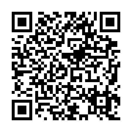 QR code for P293B