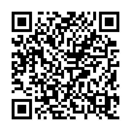 QR code for P293XH