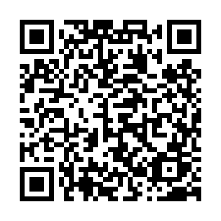 QR code for P294WR