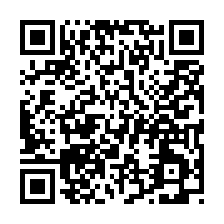 QR code for P295E