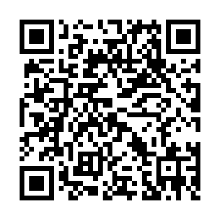 QR code for P295LQ