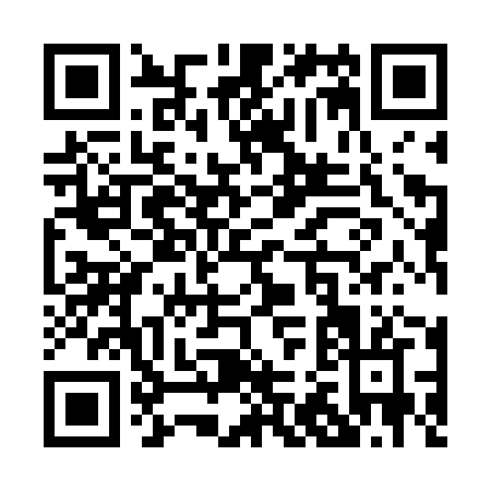 QR code for P296Z