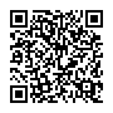 QR code for P30 3IE