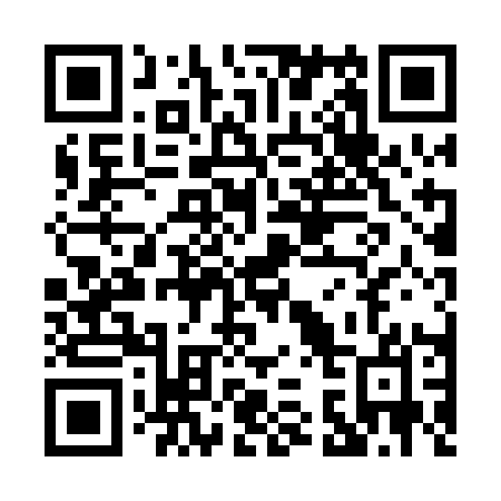 QR code for P300AO
