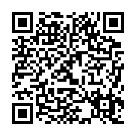 QR code for P303R