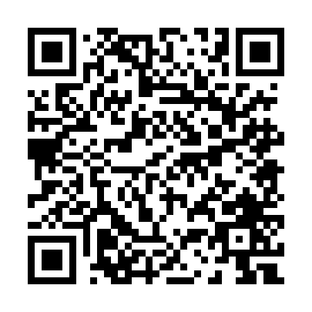 QR code for P304N
