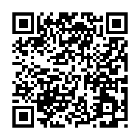 QR code for P306W
