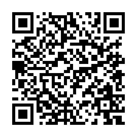 QR code for P308K
