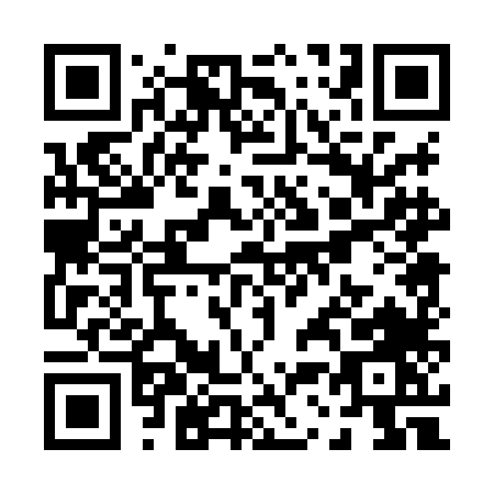 QR code for P308L