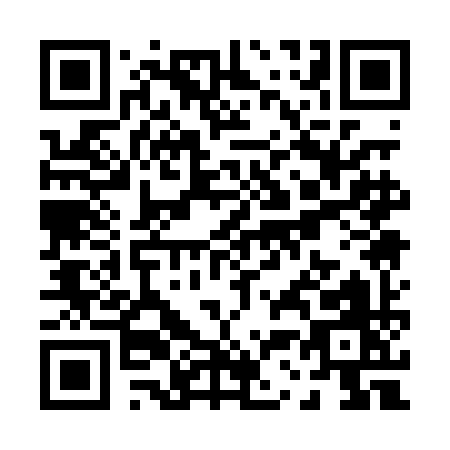 QR code for P310I