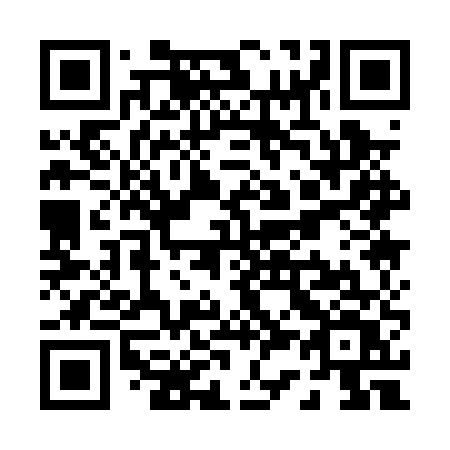 QR code for P310UV