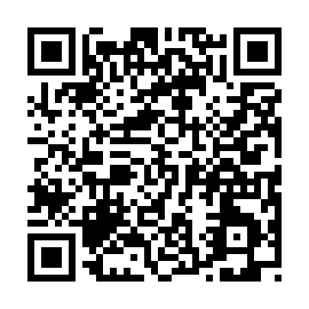 QR code for P311I
