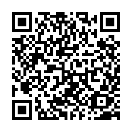 QR code for plate P31 1IZ