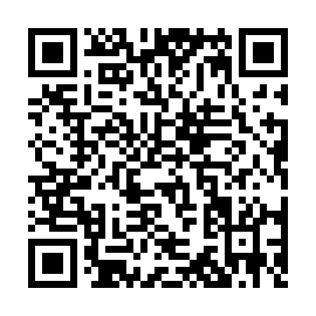 QR code for P312A