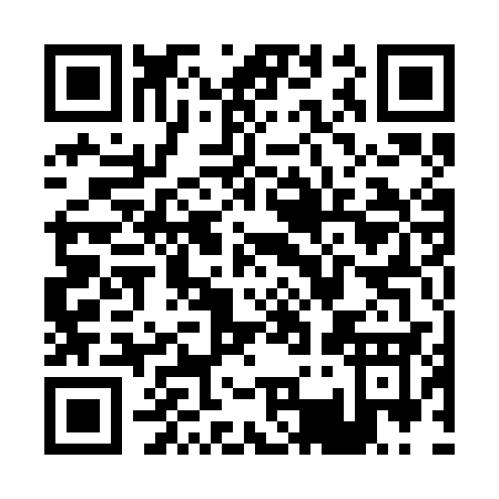 QR code for P312C