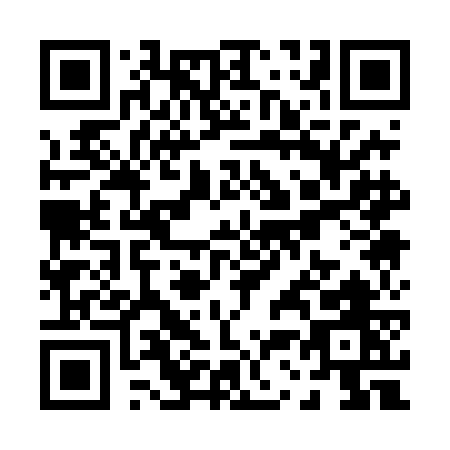 QR code for P314G