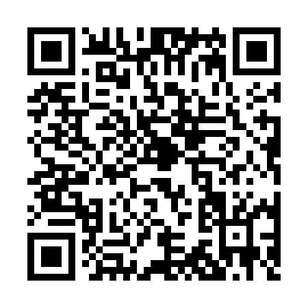 QR code for P315M