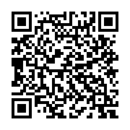 QR code for P315SJ