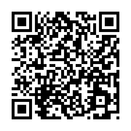 QR code for P316W